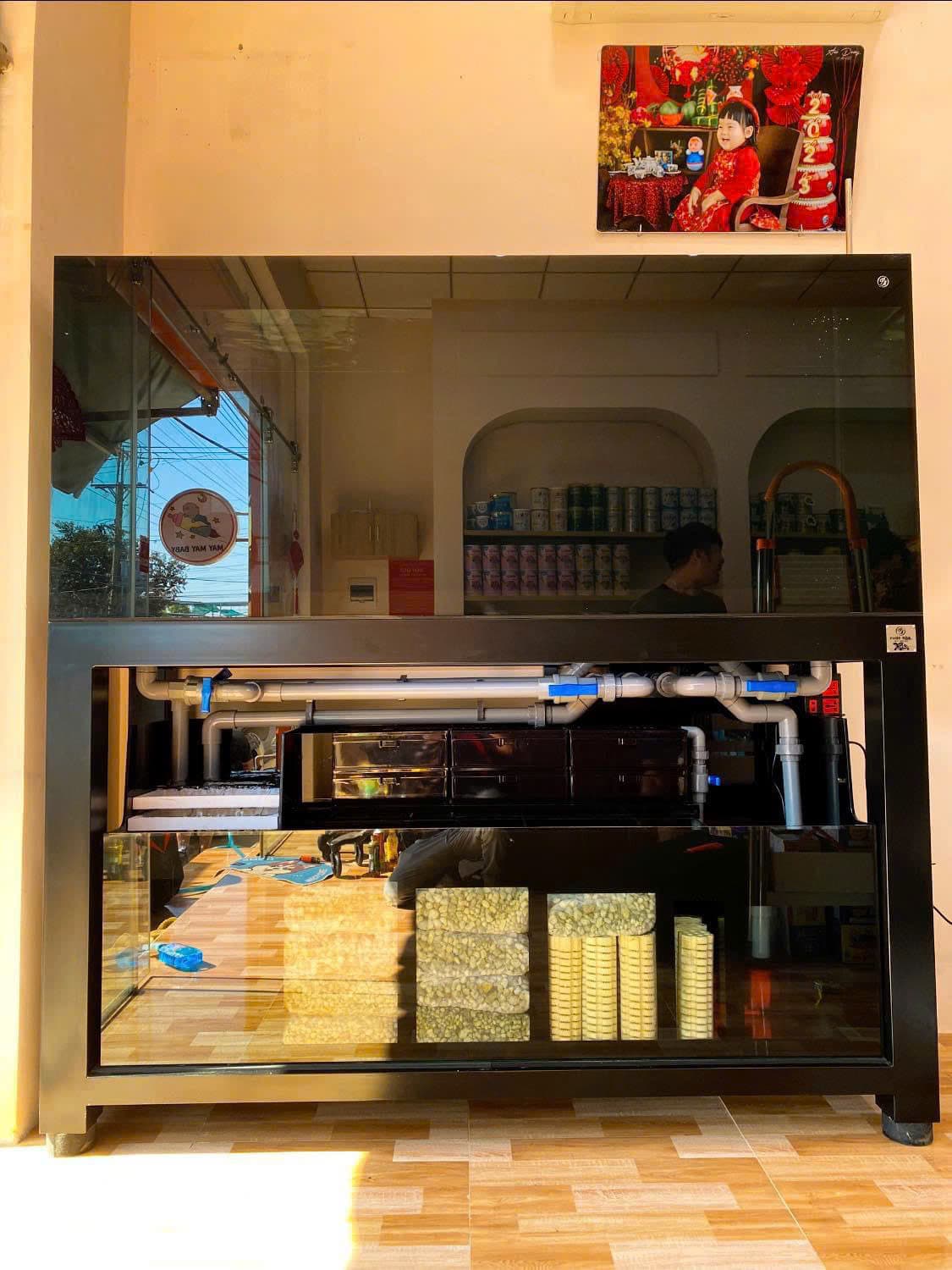 Hồ cá công nghệ mới với hệ thống hút thổi toàn dãy