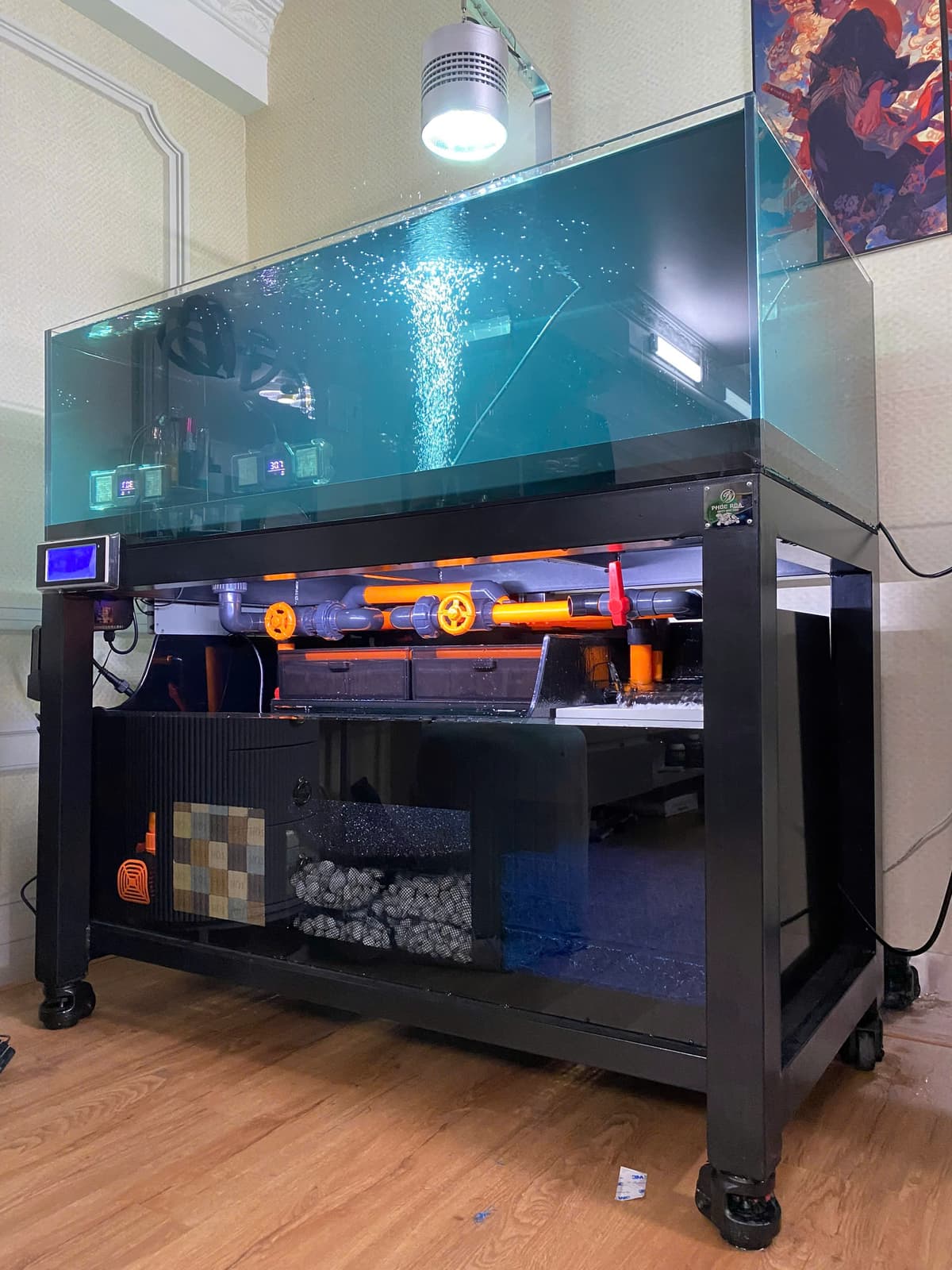 Hồ cá công nghệ mới với hệ thống hút thổi toàn dãy