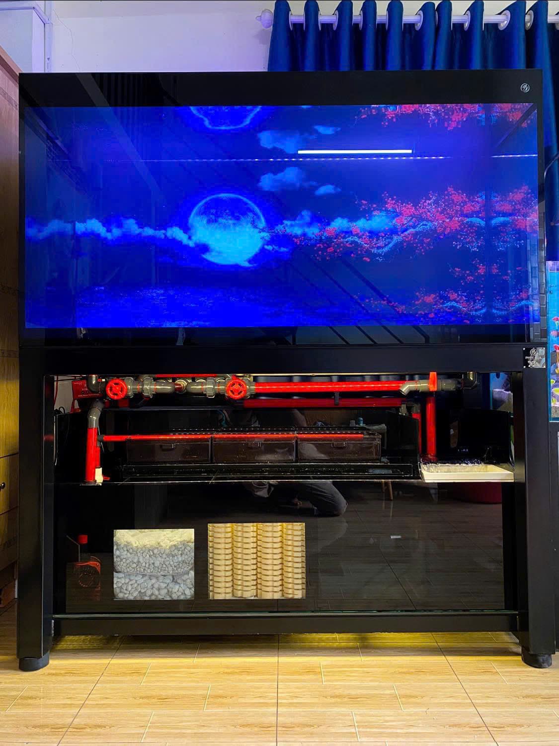 Hồ cá công nghệ mới với hệ thống hút thổi toàn dãy