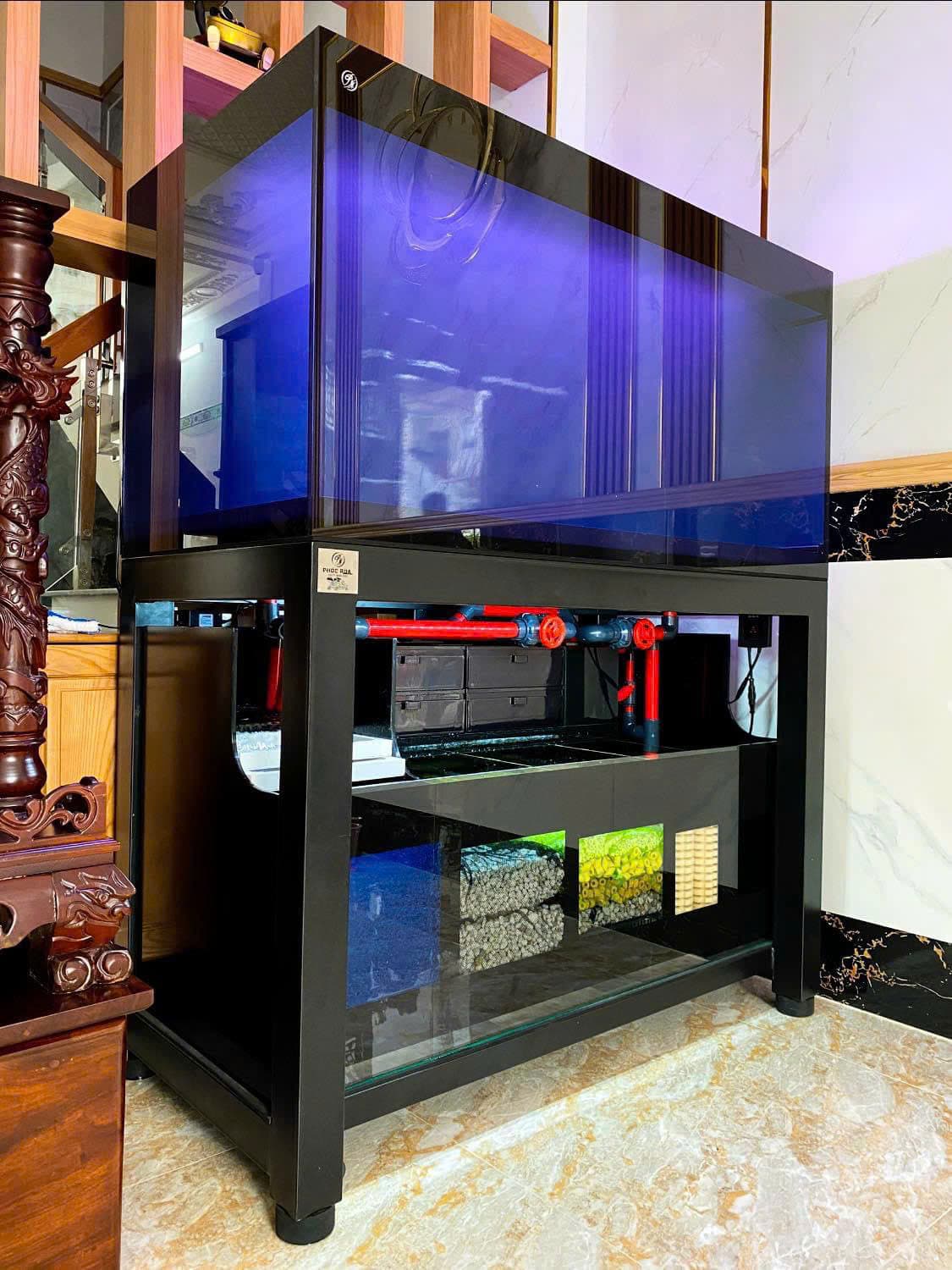 Hồ cá công nghệ mới với hệ thống hút thổi toàn dãy