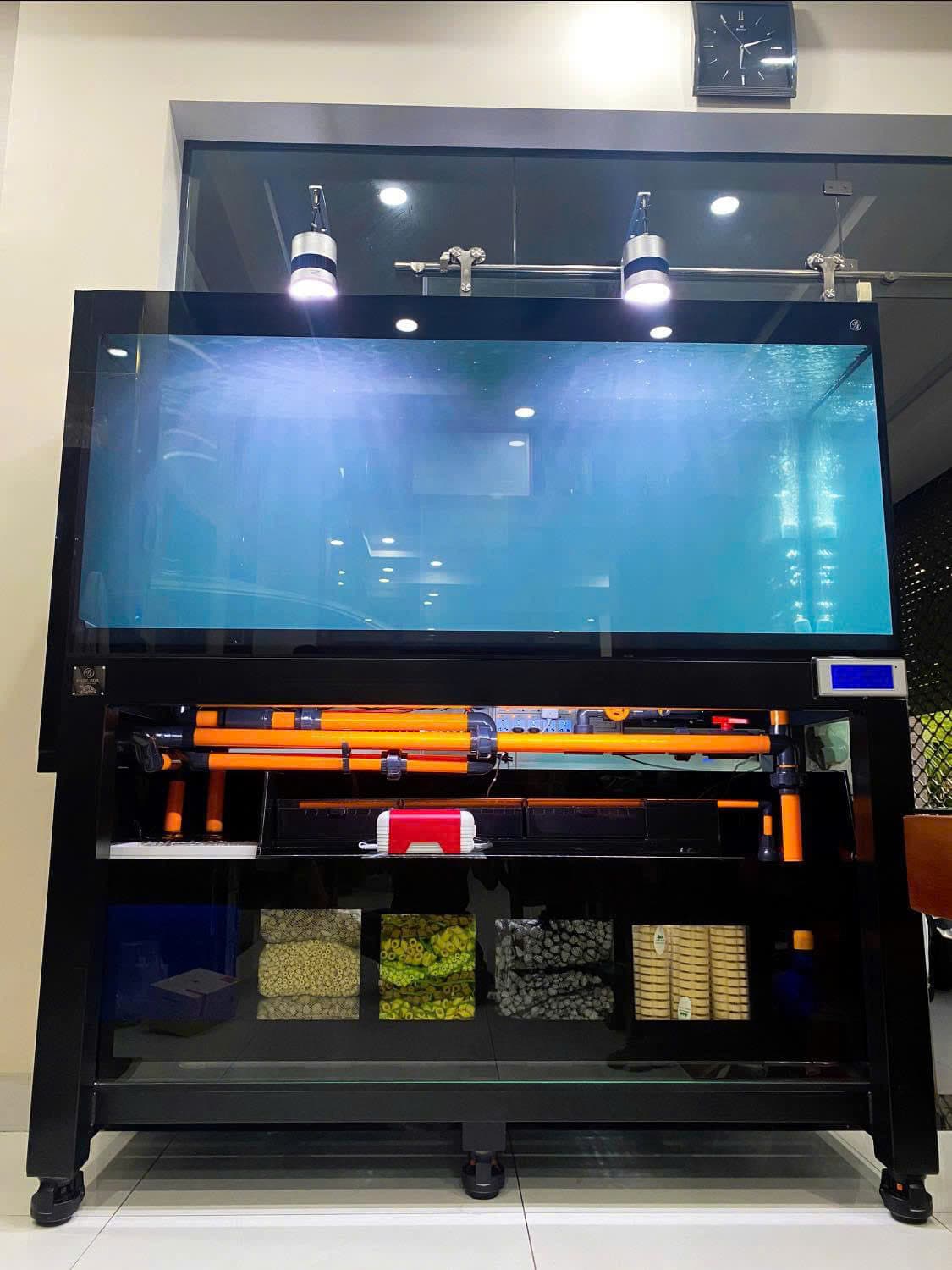 Hồ cá công nghệ mới với hệ thống hút thổi toàn dãy