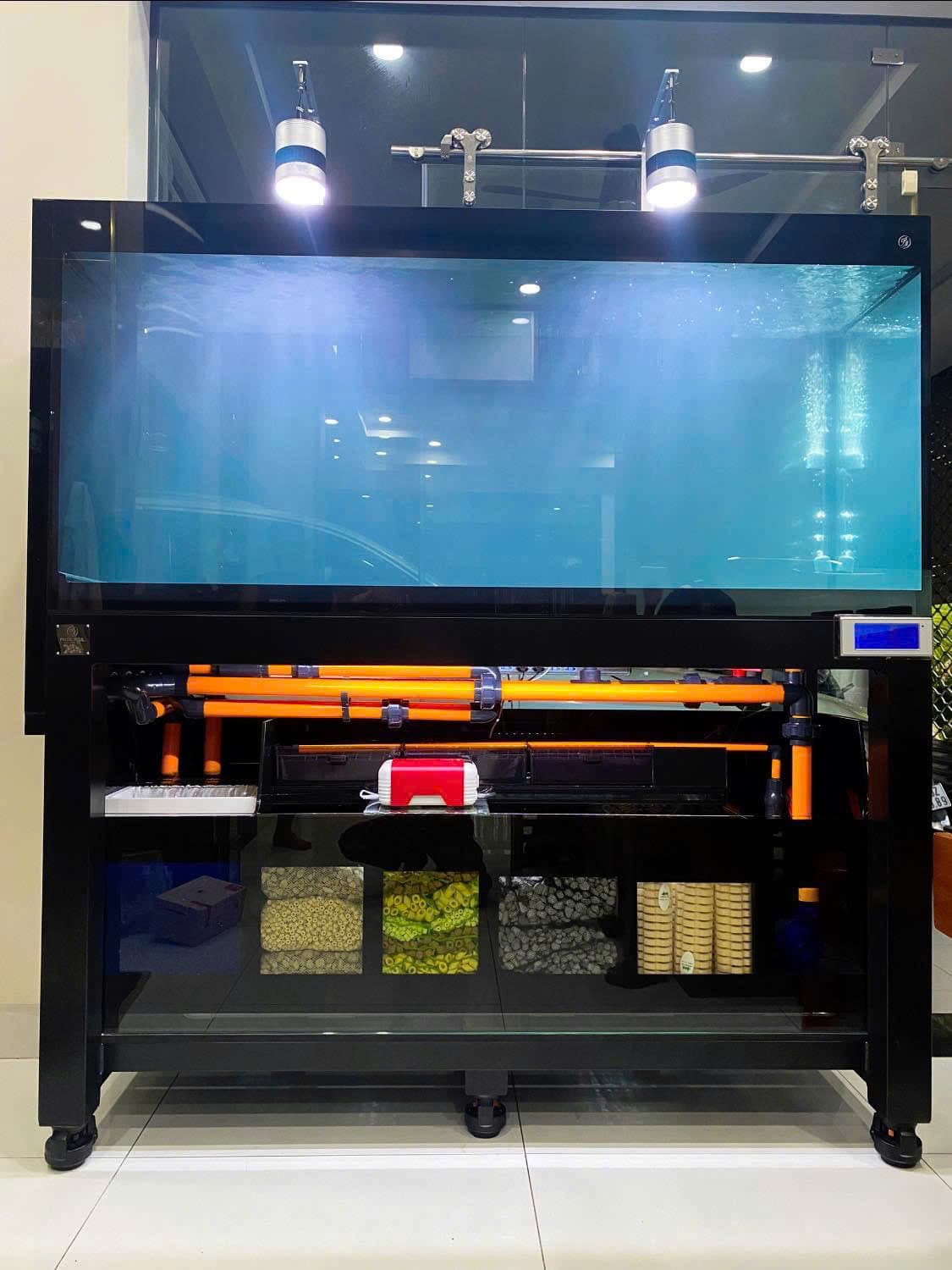 Hồ cá công nghệ mới với hệ thống hút thổi toàn dãy