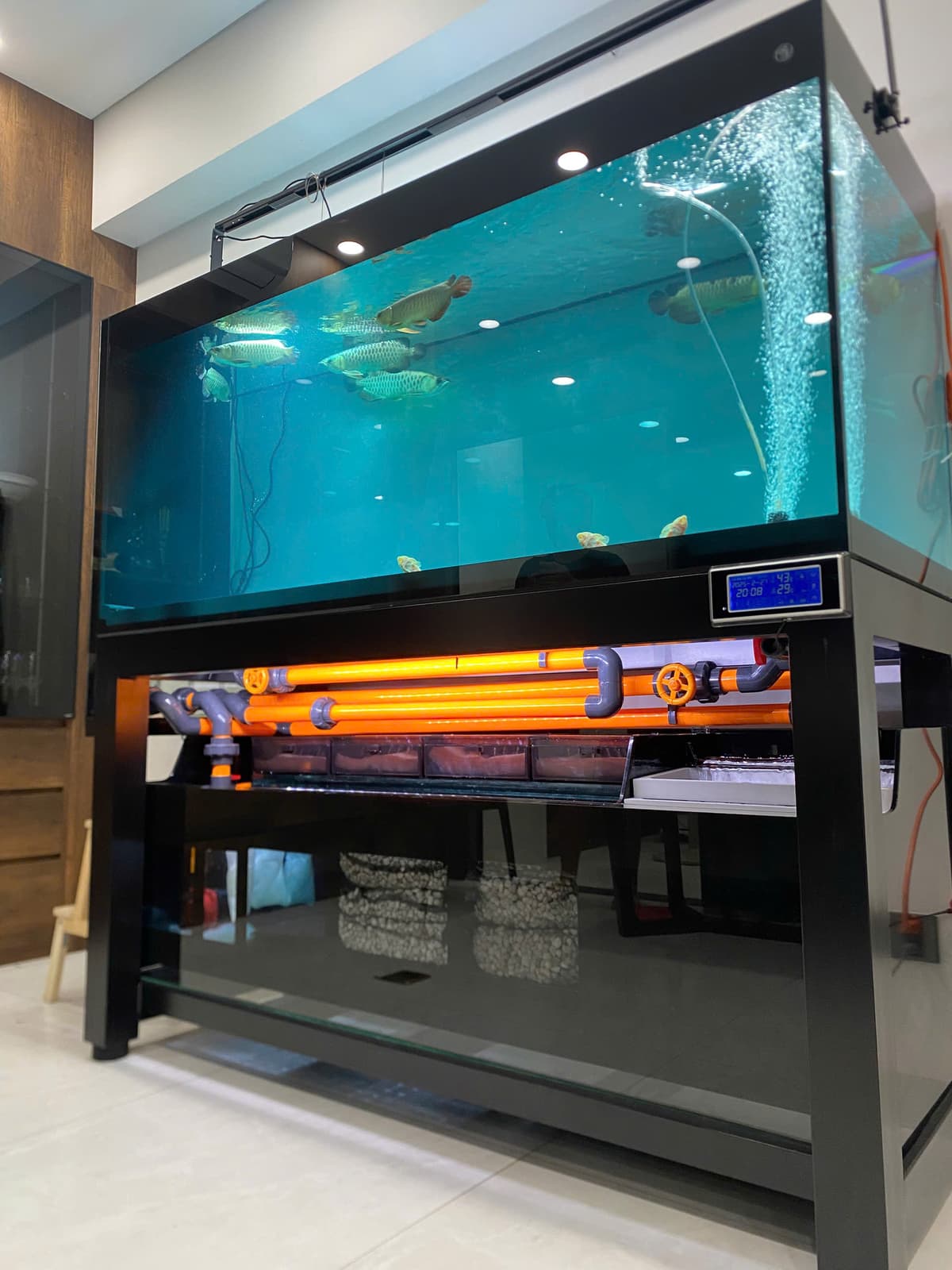 Hồ cá công nghệ mới với hệ thống hút thổi toàn dãy