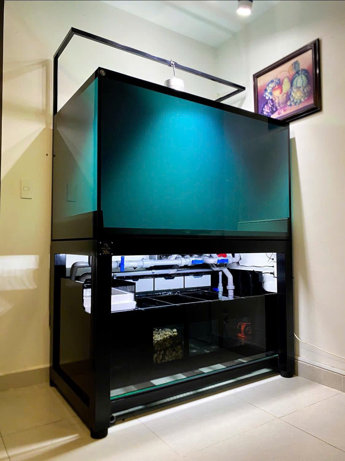 Hồ cá công nghệ mới với hệ thống hút thổi toàn dãy