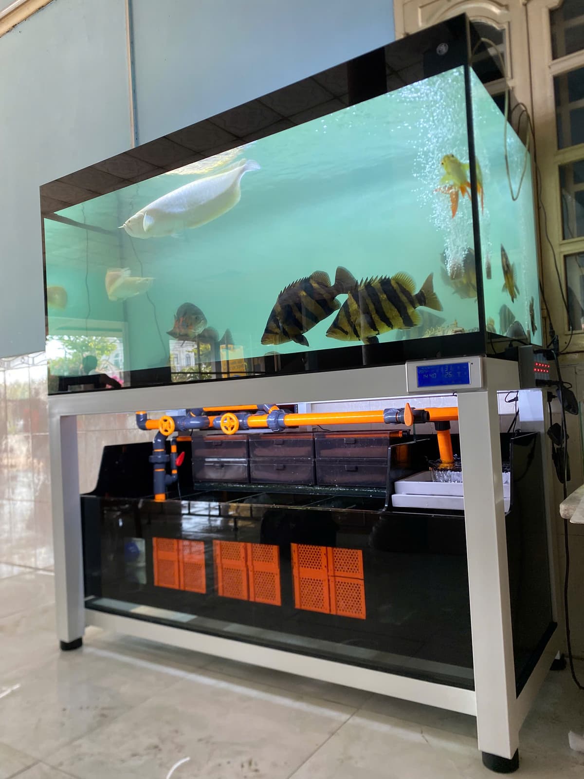 Hồ cá công nghệ mới với hệ thống hút thổi toàn dãy