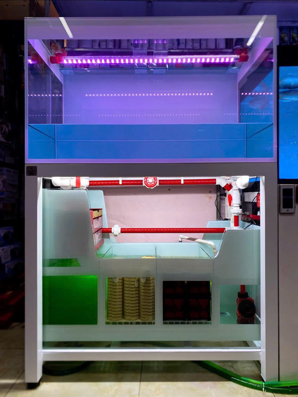 Hồ cá công nghệ mới với hệ thống hút thổi toàn dãy