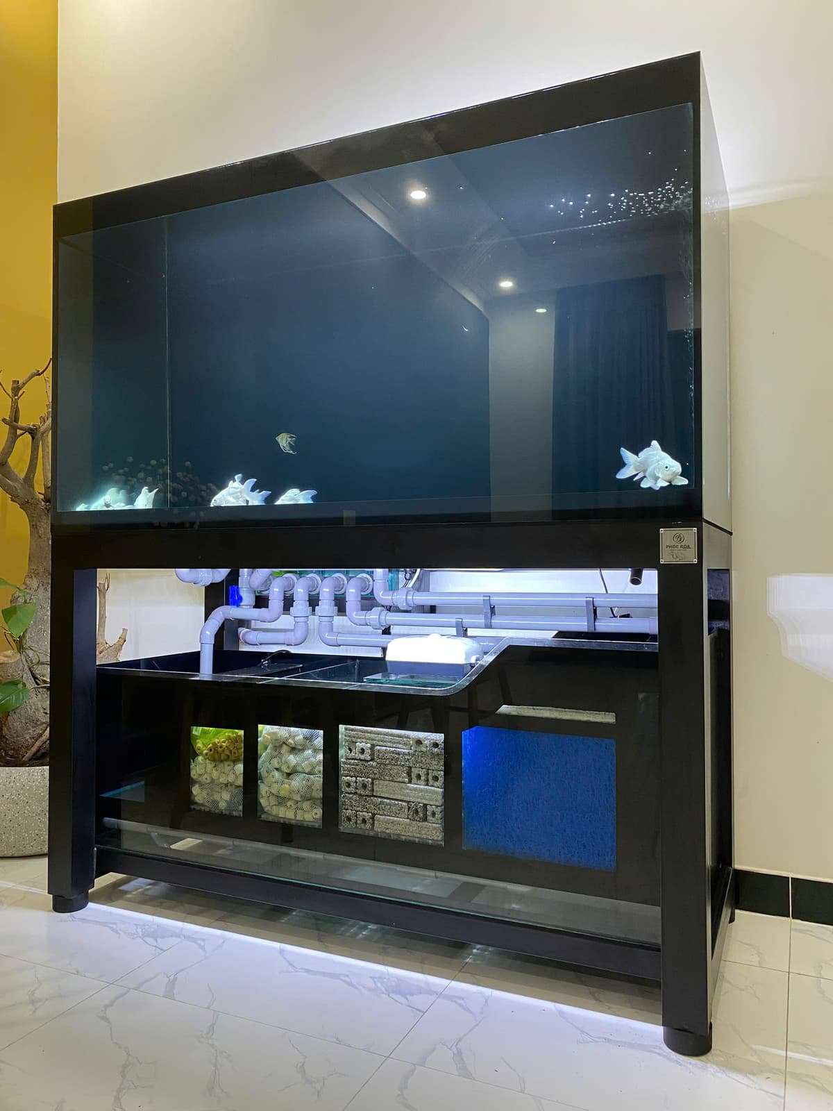 Hồ cá công nghệ mới với hệ thống hút thổi toàn dãy