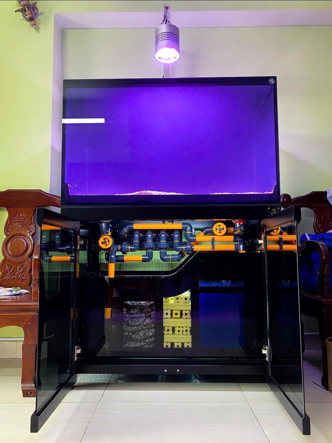 Hồ cá công nghệ mới với hệ thống hút thổi toàn dãy