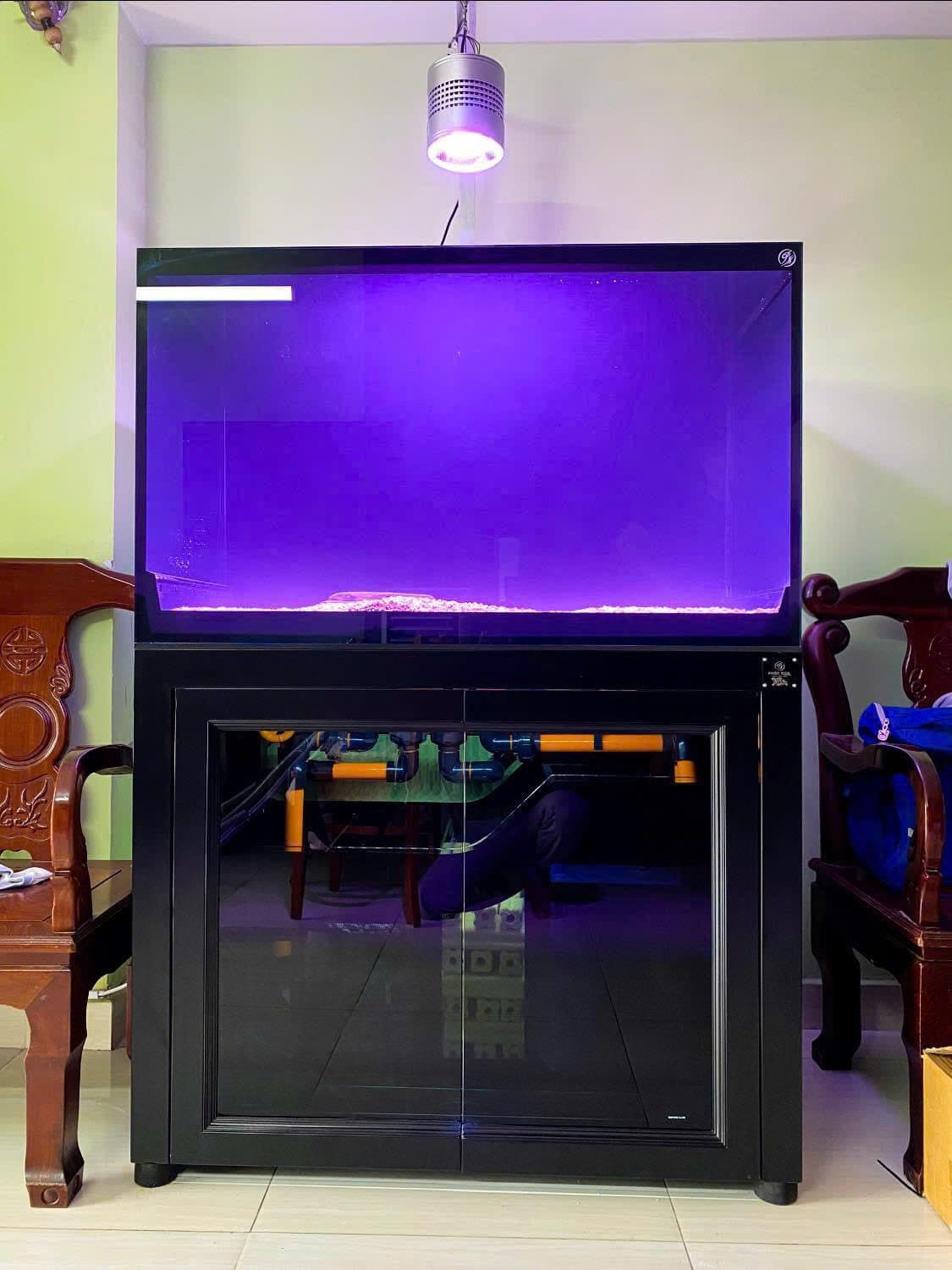 Hồ cá công nghệ mới với hệ thống hút thổi toàn dãy