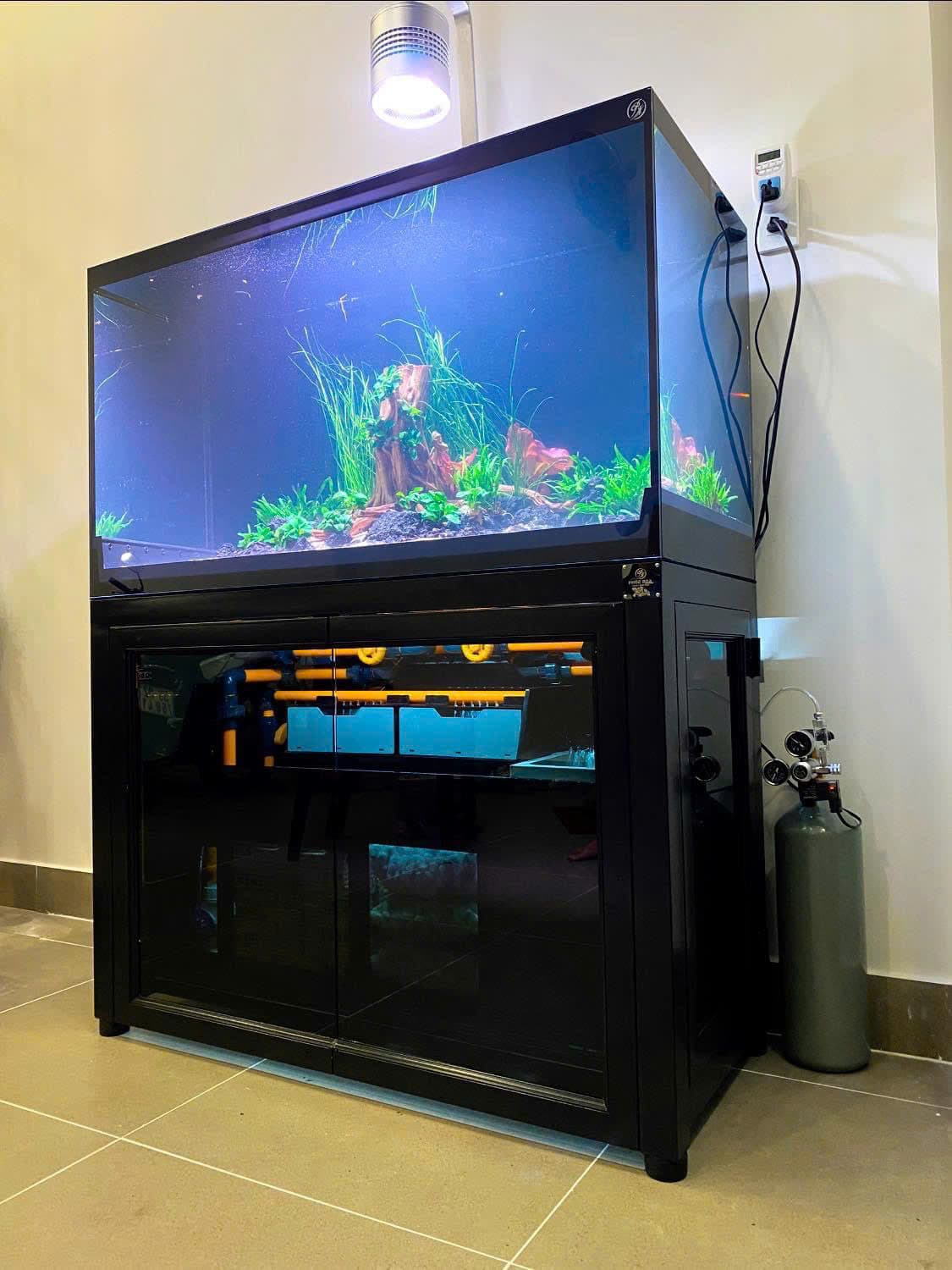 Hồ cá công nghệ mới với hệ thống hút thổi toàn dãy