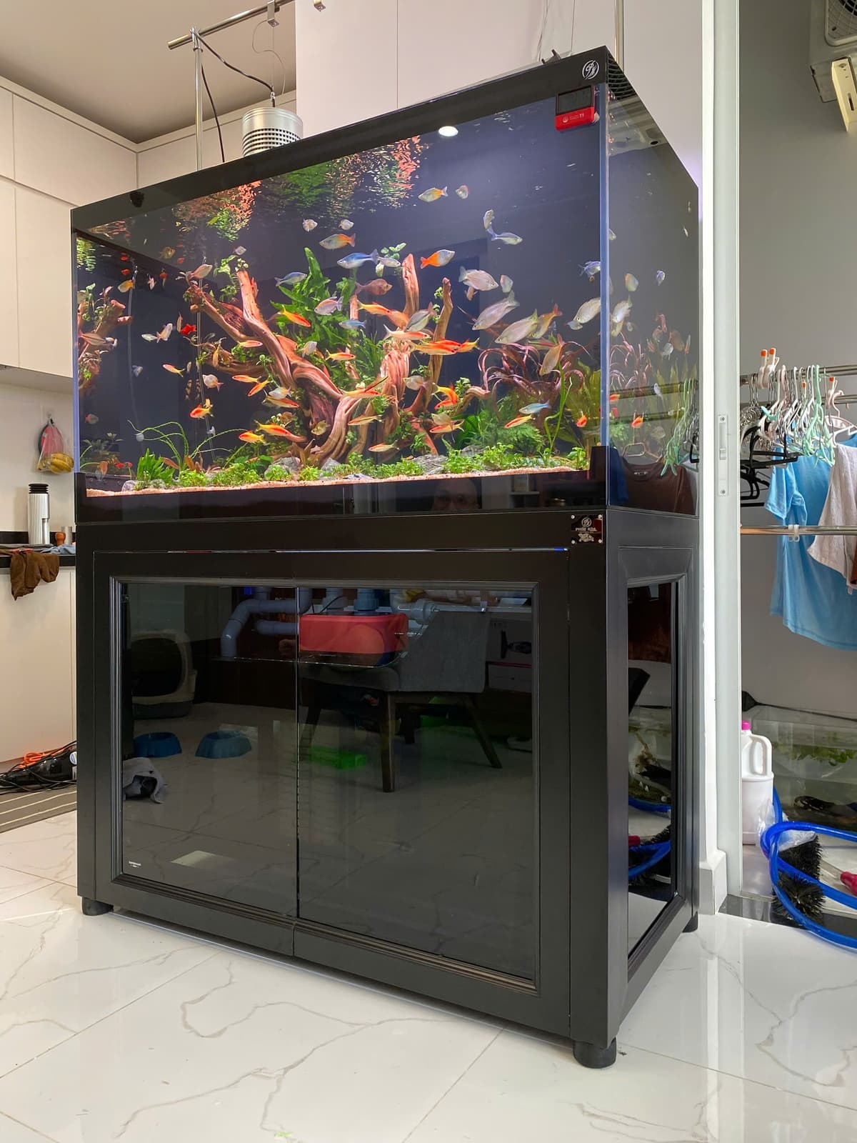 Hồ cá công nghệ mới với hệ thống hút thổi toàn dãy