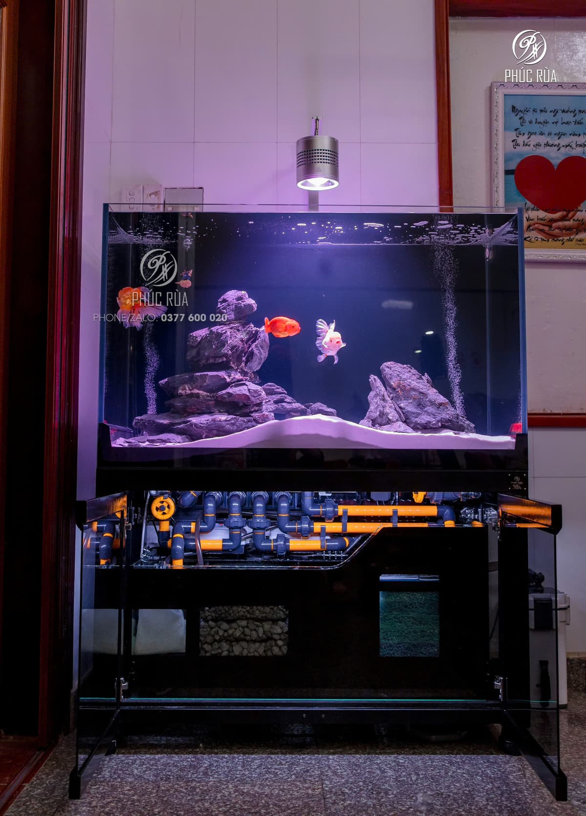 Hồ cá công nghệ mới với hệ thống hút thổi toàn dãy