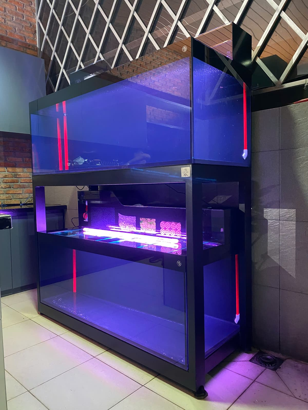 Hồ cá công nghệ mới với hệ thống hút thổi toàn dãy